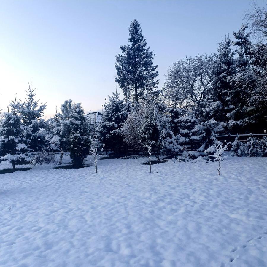 Agroturystyka Sielska Kraina Zabkowice Ślaskie Exterior foto